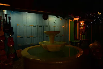 DSC_5637 (Large).JPG